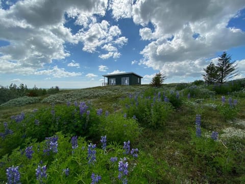 Skeiðvellir Panorama house House in Southern Region