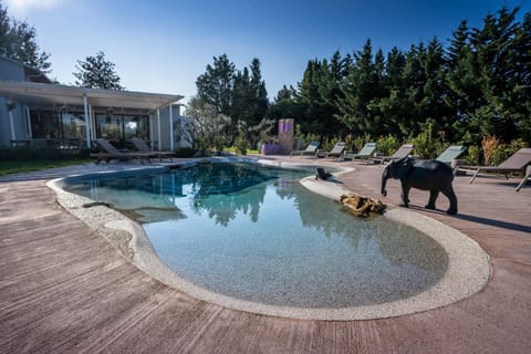 Swimming pool, Swimming pool