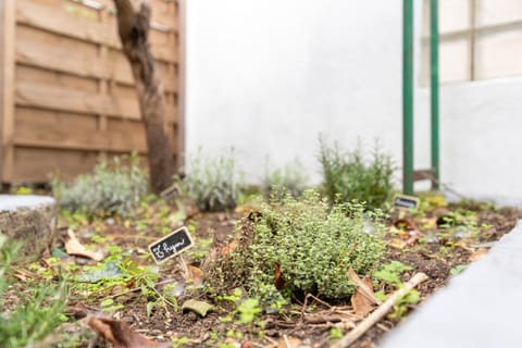 Decorative detail, Decorative detail