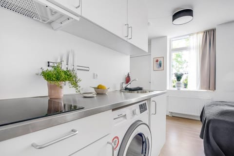 Kitchen or kitchenette, washing machine