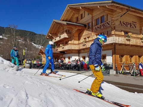 Aspen Alpine Lifestyle Hotel Hotel in Grindelwald