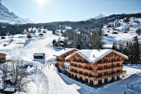 Property building, Nearby landmark, Natural landscape, Winter, Mountain view