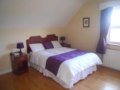 Ashville Guesthouse Bed and Breakfast in County Mayo