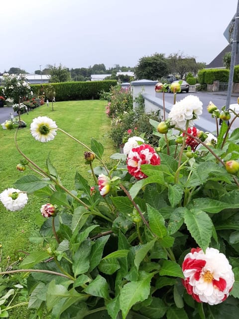 Hillgrove House Vacation rental in County Sligo