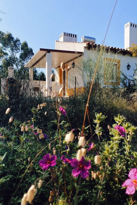 Property building, Garden view