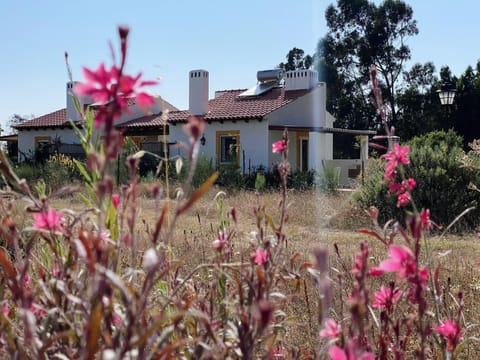 Property building, Garden, Garden view