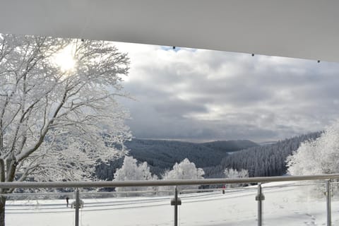 Natural landscape, Winter, Skiing