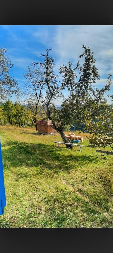 Natural landscape, Garden view