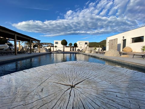 Day, Pool view, Swimming pool