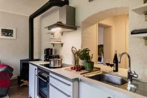 Kitchen or kitchenette, Photo of the whole room, Decorative detail