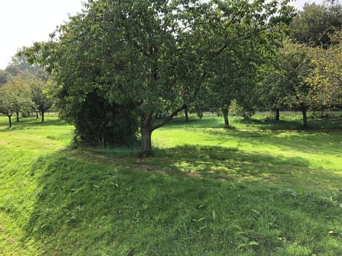 Studio avec piscine aux portes d’Honfleur Apartment in Normandy