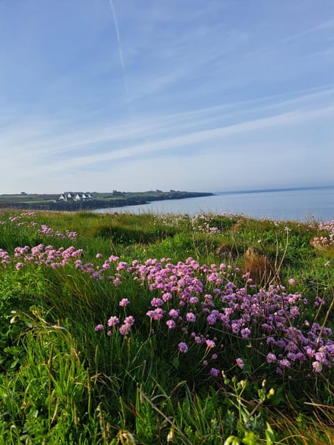 Résidence Les Hauts du Brouennou House in Plouguerneau