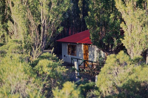 Lagos del Furioso Lodge nature in Santa Cruz Province
