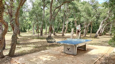 Natural landscape, Garden, Table tennis