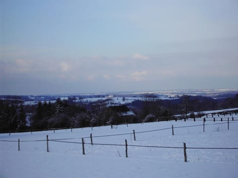 Winter, View (from property/room)