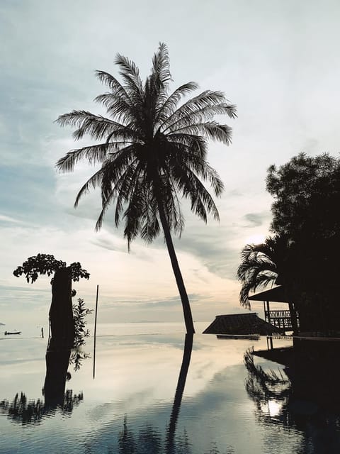 Garden, Beach