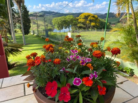 Natural landscape, Garden, Lake view, Mountain view