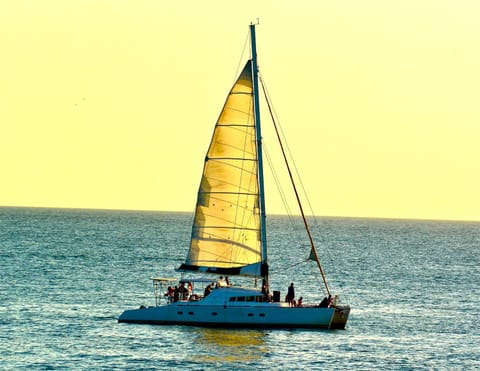 Natural landscape, Activities, Beach, group of guests