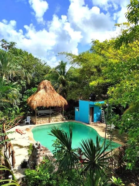 Pool view, Swimming pool