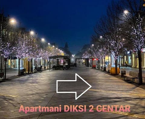 Apartmani Diksi 2 CENTAR Apartment in Timiș County