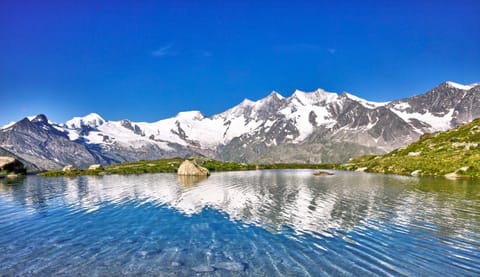 Haus Holiday Apartment in Saas-Fee