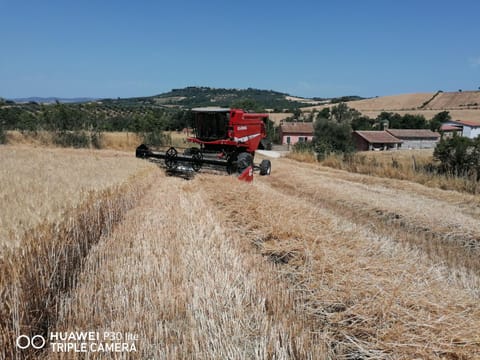 Piane Del Bagno Farm Stay in Lazio