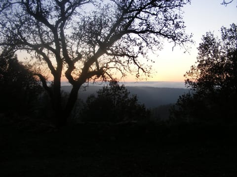 Natural landscape, Winter, Garden, On site, Garden view, Landmark view