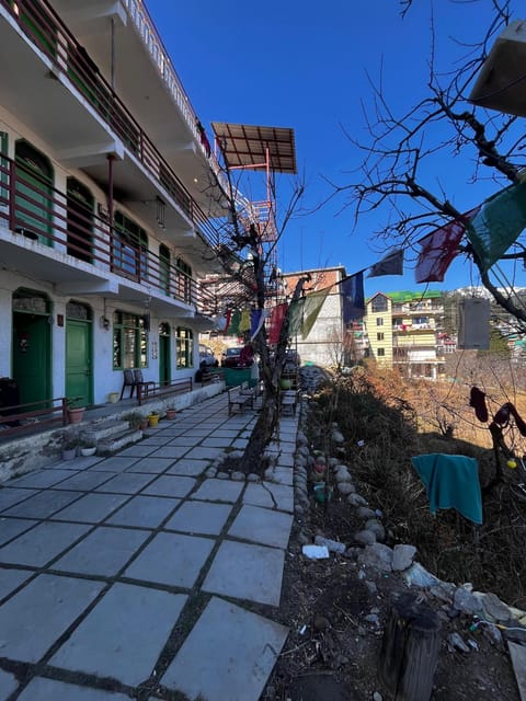 Nomadic Den Manali Hostel in Manali