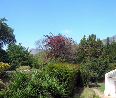Garden, Mountain view