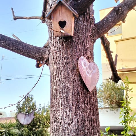 Garden, Garden, Garden view, Garden view