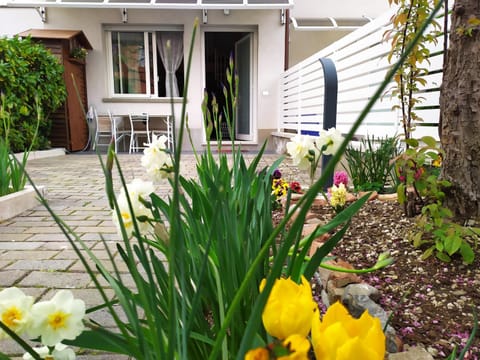 Property building, Patio, Spring, Garden, Garden, Garden view