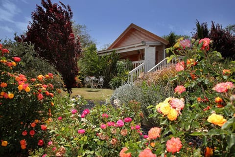 The Beautiful Cabins Chalet in North District