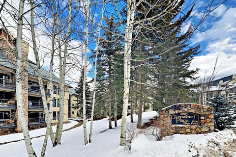 Townsend Place Condo in Beaver Creek