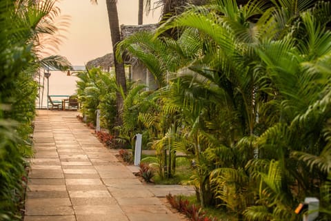Agonda Shell Beach Resort Resort in Agonda