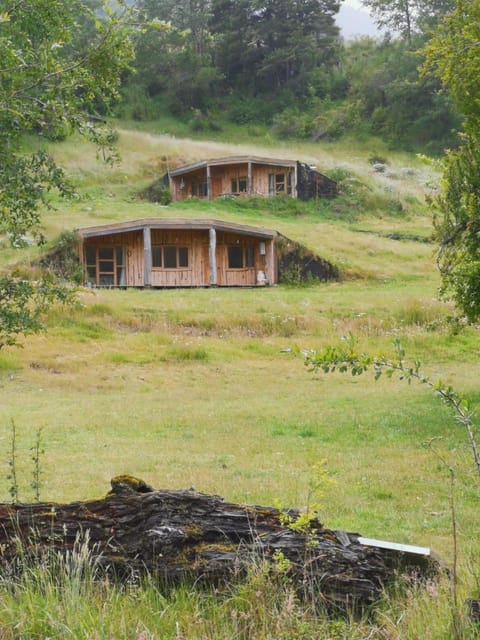 Pu Am Eco Lodge Inn in Pucon