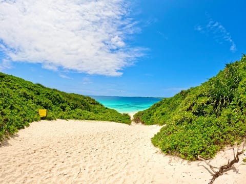 Nearby landmark, Natural landscape, Activities, Beach