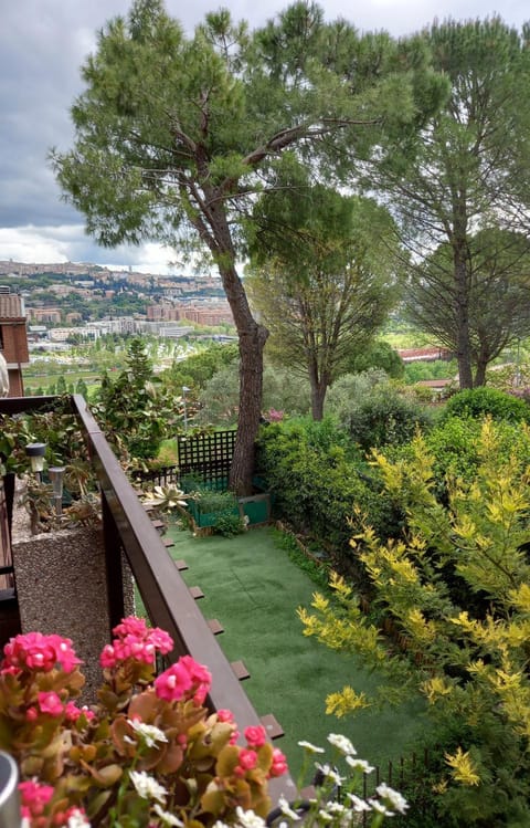 View (from property/room)