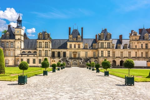 Suites Rive Gauche - DUPLEX CHARME Fontainebleau Condo in Fontainebleau