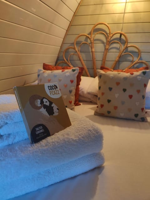 Tan-y-Dderwen Pod Campground/ 
RV Resort in Wales