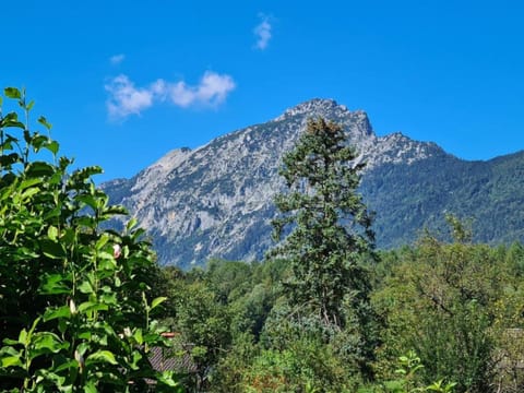 Ferienwohnungen Sommer Apartment in Bad Reichenhall