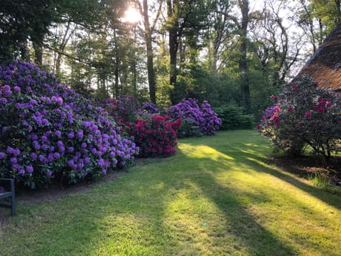 Spring, Garden