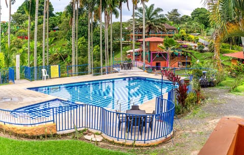 Pool view, Swimming pool