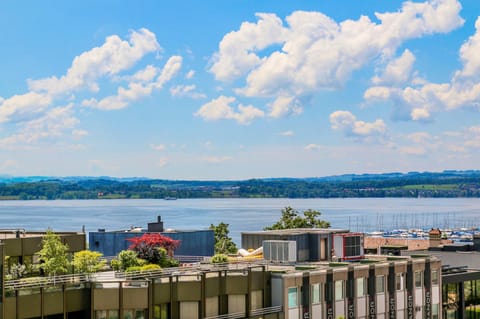 ARISER - Lake View Business Apartment Apartment in Zug