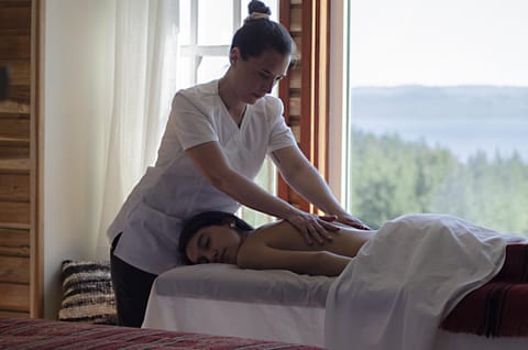 Massage, Spa and wellness centre/facilities