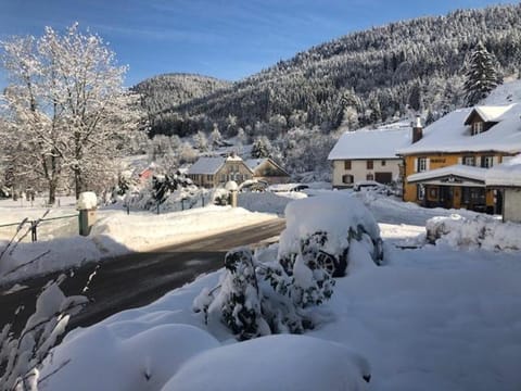 Le Valtinet, séjour esprit montagne House in Vosges