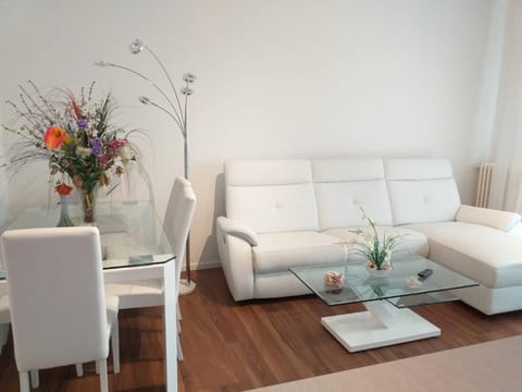 Sesto Calende Centro Apartment in Lombardy