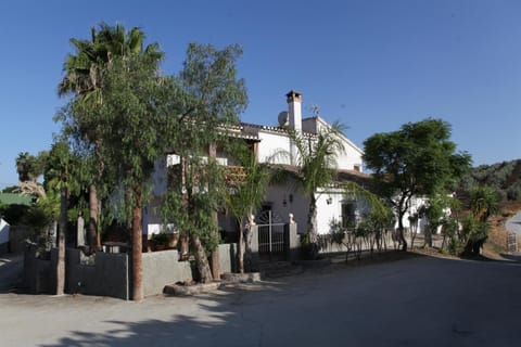 Property building, Street view