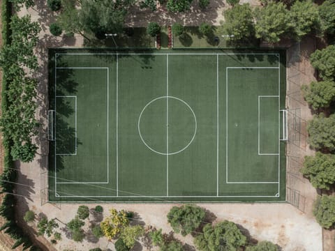 Bird's eye view, Area and facilities, Sports