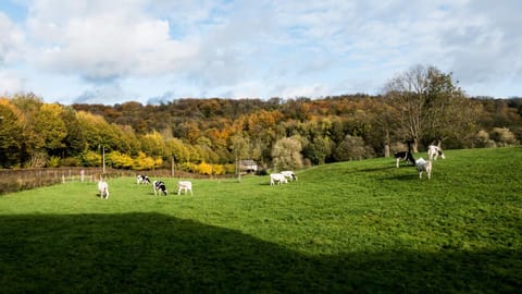 Vakantiehuis - Rue du Château Deux Villa in Flanders