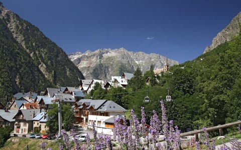 VENOSC Le Haut de la Grange Condo in Les Deux Alpes